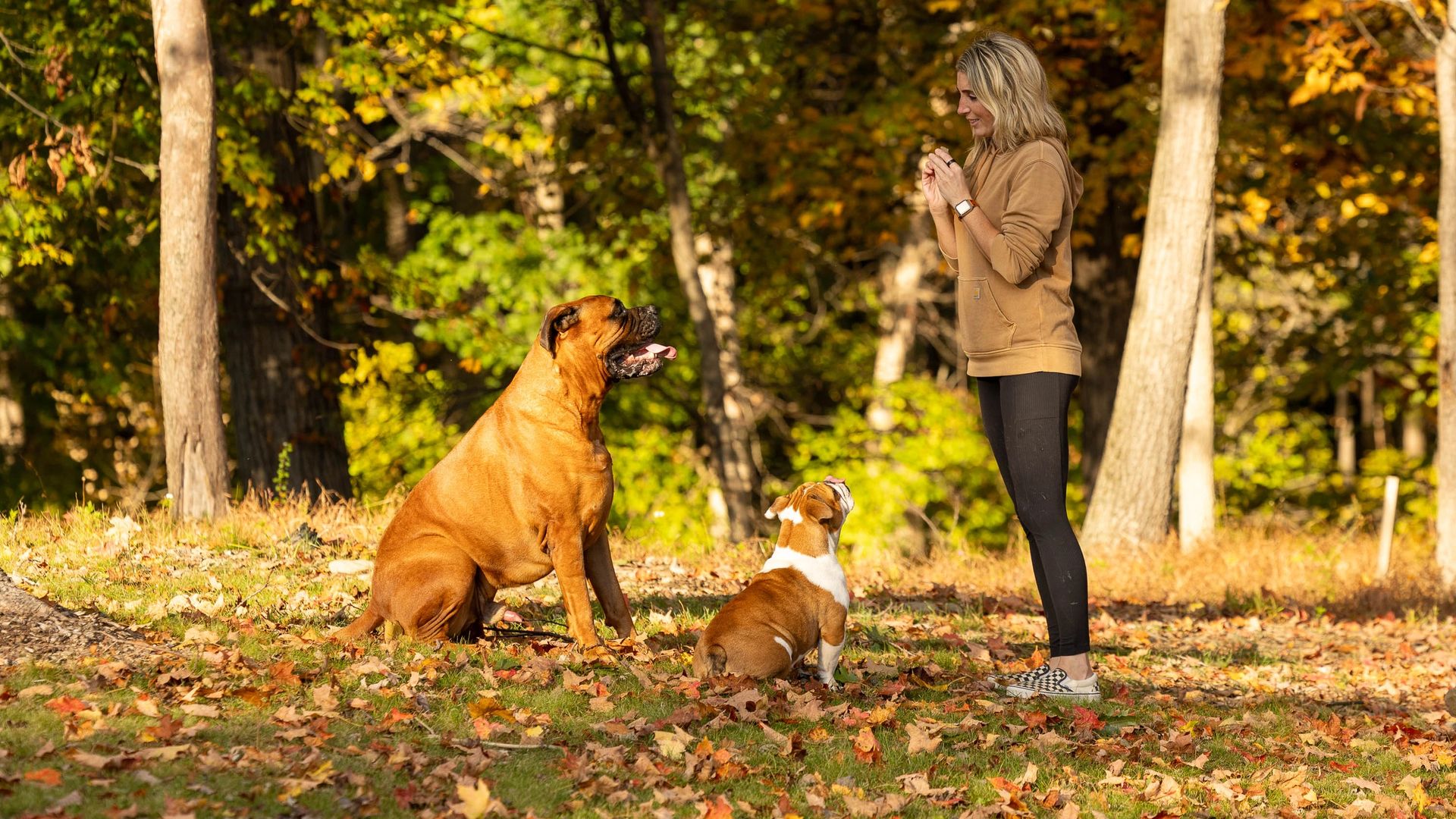 Pet and owner portrait showing their bond